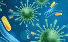 Laboratory pathogen research supporting animal health quality standards