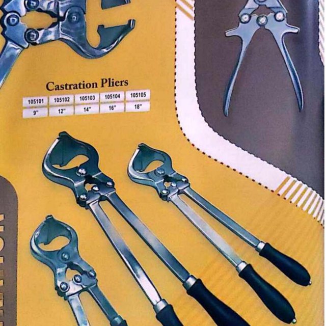 Castration Instruments — IBM Investment Ltd. product photo